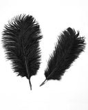 Punk Rave Unisex Gothic Dragon Spine Feathered Tricorn Hat