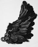 Punk Rave Unisex Gothic Dark Demon Feathered Wings Tricorn Hat