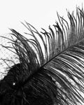 Devil Fashion Gothic Feather & Veil Mini Bowler Hat Hair Barrette - Black